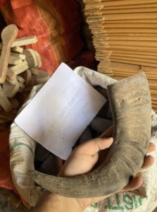 Punta de Cuerno de Búfalo Natural Ecológica, Color Negro Rústico, para Navidad y Año Nuevo Chino - Product Image 2