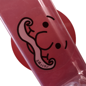 Pegatinas de Vinilo Transparentes Troqueladas Personalizadas, Aptas para Congelador, para Botellas de Salsa Picante, Mermelada, Miel, Embalaje de Regalos - Product Image 4