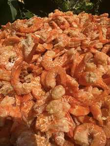 Top vente crevettes rouges séchées petite taille crevettes séchées Vietnam naturel séché au soleil pur fruits de mer crevettes séchées pour les plats asiatiques Sauces - Product Image 2