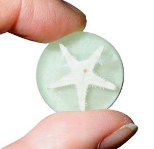 Cabochon Starfish Round 25x25 mm on Glow Flat Bottom for Crafts and Jewelry Making - Product Image 2