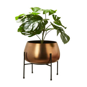 Maceta de Metal Bronce con Soporte Negro, Moderna, para Interiores, para Monstera y Decoración del Hogar, Oficina y Hotel - Product Image 4