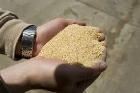 Bột đậu nành chất lượng cao một nguồn protein phong phú cho thức ăn chăn nuôi - Product Image 4