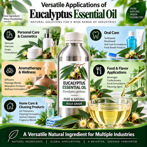Fournisseur en gros d'huile essentielle d'eucalyptus pour importateurs, grossistes, distributeurs et acheteurs de matières premières botaniques internationaux - Product Image 3