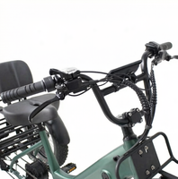 Vélo électrique cargo rapide avec pneus larges 20*4 pouces, moteur arrière sans balais 48V, cadre en aluminium, batterie intégrée, 7 vitesses et freins à disque