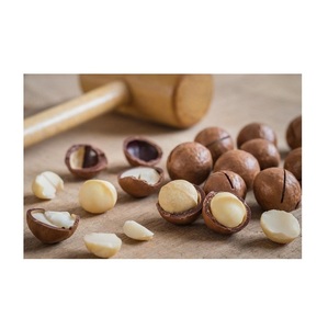 Macadamia <b>Nuts</b> Wholesale 10kg Bulk Macadamia <b>Nuts</b> - Product Image 2