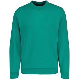 Service OEM Sweat-shirt en jersey tricoté unisexe pour homme 100% coton biologique Hiver Tailles et couleurs personnalisables - Product Image 1