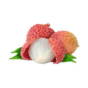 ลิ้นจี่สดเวียดนาม ขายส่ง ลิ้นจี่แดงพรีเมียม สำหรับซูเปอร์มาร์เก็ต ร้านค้าปลีก และผู้นำเข้า - Product Image 6