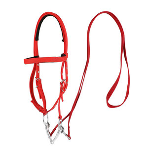 Bridas de Cuero para Caballos de Alta Calidad, Ajustables, para Equitación, Pedidos al por Mayor - Product Image 1