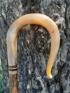 Bastón de Paseo con Mango Curvo de Cuerno de Búfalo, Bastón de Paseo Hecho a Mano de Primera Calidad, Elegante Bastón de Cuerno de Búfalo, Bastón Clásico para Movilidad - Product Image 3
