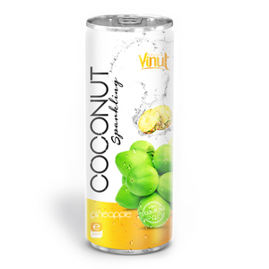 Agua con gas de coco de primera calidad de 250ml con jugo de piña Jugo de frutas y verduras enlatado - Product Image 1