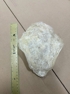 Bandes de tripes de poisson séchées de qualité supérieure, fournisseur Vietnamien, meilleur prix, haute teneur en protéines, produits de la mer, bar, Ms.May - Product Image 2