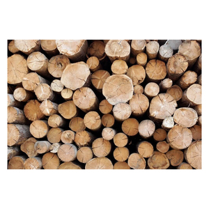 ไม้แปรรูปจำนวนมากขายส่ง มีสินค้าคุณภาพดี บริการจัดส่งรวดเร็ว - Product Image 1