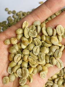 Mejor Precio, Granos de Café Verde Vietnamita, Robusta y Arábica, S14 S16 S18, Limpios, Venta al por Mayor, Bolsa de 60 kg, ODM/OEM - Product Image 6