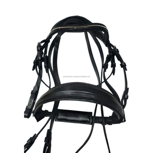 Brida de Cuero Negra de Tamaño Completo con Adornos de Cristal, Diseño Ecuestre Costa Sports - Product Image 3