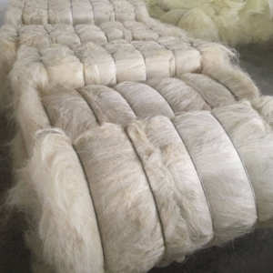 เส้นใยไซซอลเกรดดีธรรมชาติสำหรับใช้ในอุตสาหกรรม - Product Image 5