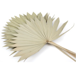 Decoración Navideña Ecológica de Material Vegetal Natural, Ramo Decorativo, Flores Decorativas, Hoja de Palma Seca - Product Image 5