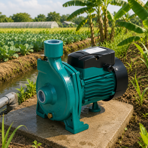 Pompe à eau électrique monophasée Snow Flake TGA1B 0,5 CV avec raccord à bride de sortie 1 pouce pour irrigation agricole, corps en fonte - Product Image 5