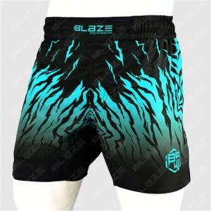 Shorts MMA de bonne qualité pour homme, impression de logo personnalisée, shorts de grappling, vêtements de sport, shorts d'entraînement de grappling. Shorts pour hommes - Product Image 4