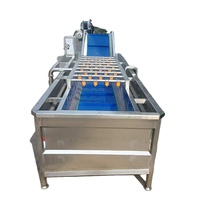Industriële volautomatische multifunctionele fruit- en groentewasmachine met lucht-/waterbeltechnologie droger, motor aangedreven