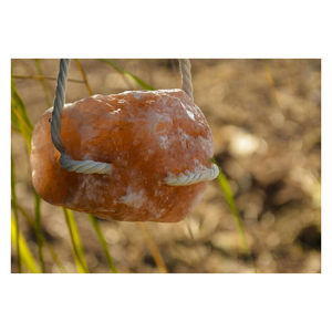 Bloc de sel de l'Himalaya de haute qualité du fabricant direct, séché en forme de corde, alimentation pour animaux (chiens, bovins, chevaux) - Product Image 1