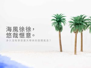 Nido de Hormigas Mediano Impermeable con Cierre de Botón a Presión Ajustable para Sala de Estar, Playa o Exteriores - Product Image 4