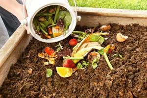 Vermicompost engrais biologique sûr pour l'environnement facile à utiliser pour améliorer les propriétés dégradées du sol - Product Image 2