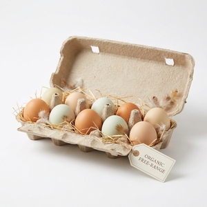 Œufs de poulet de première qualité, œufs de volaille frais pour supermarchés, épiceries et distribution en gros à l'exportation - Product Image 1