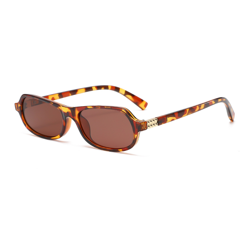 C3: Tortoise/ Brown
