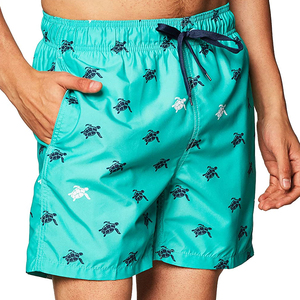 Men Turtle <b>Print</b> Swim Shorts Quick Dry Beach Shorts Elastic Waist Summer Swim Trunks Casual Vacation Board Shorts OEM - Product Image 2