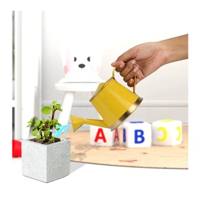 Unique Garden Pot Multi Color Choice Factory Low MOQ <b>Small</b> Steel Galvanized Metal Indoor Plant Watering Pot Wholesale Supplier - Product Image 1