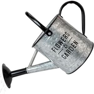 Vintage Galvanized <b>Metal</b> Watering Can with Long Spout and Dual Handles - Decorative Flowers & Garden Rust-Resistant Water Pot - Product Image 1