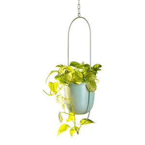 Maceta Colgante de Metal de Alta Calidad, Soporte para Plantas de Interior con Cadena, Maceta Minimalista de Hierro Forjado para Decoración del Hogar - Product Image 1