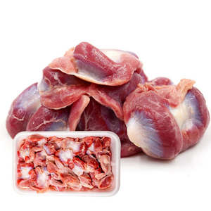 Gizzards de Pollo Congelados Halal de Alta Calidad, Carne de Pollo Congelada en Venta al Mejor Precio, Gizzards/Gizzards de Pollo Congelados/Comprar Gizzards Congelados - Product Image 1