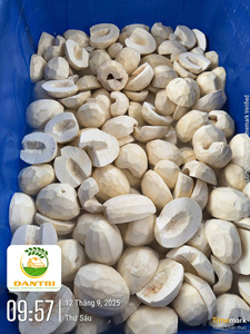 ขนมปังสาเกแช่แข็ง500กรัมจากโรงงานเวียดนามส่งออกจำนวนมาก - Product Image 3