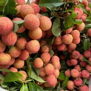 Lichi Fresco de Vietnam, Piel Roja, Pulpa Blanca, Fruta de Alta Calidad para Exportación Global - Product Image 5