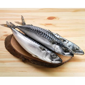 ปลาทูทะเล ราคาดี / ปลาทูทะเลสดแช่แข็ง - Product Image 6