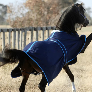 Couverture d'hiver légère pour chevaux 2026 de qualité supérieure, coupe-vent, imperméable, pour l'écurie et l'équitation, OEM - Product Image 1