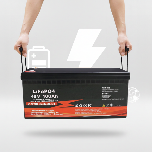 48V 100Ah Lithiume Batterie ODM OEM LiFePO4 Rechargeable Li-Ion Storage Prismatic Lithium Ion Battery LiFePO4 Battery