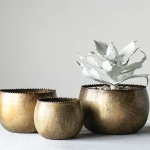Macetero decorativo de metal con una elegante superficie dorada diseñado para exhibir jardines interiores y exteriores de manera hermosa. - Product Image 4