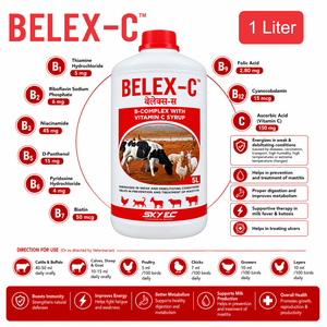 Suplemento líquido BELEX-C con complejo B y vitamina C para ganado, búfalos, terneros, ovejas, cabras y aves de corral. |   Paquete: 5 litros - Product Image 3