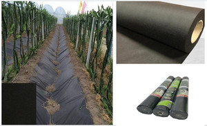 Tissu non tissé en polypropylène pour la protection des fruits et la couverture des sols agricoles et de jardin. - Product Image 4