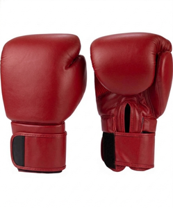 Équipement de boxe de haute qualité - Product Image 4
