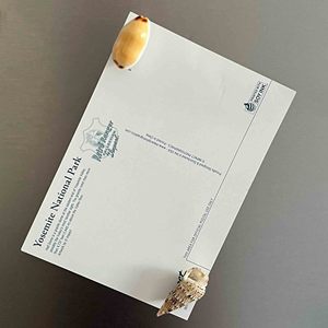 Imanes para refrigerador con diseño de logotipo personalizado, imán para nevera de concha marina natural, proveedor mayorista de Vietnam - Product Image 5