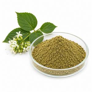 Fabricant de confiance d'extraits végétaux : Poudre d'extrait de Bharangi, ingrédient botanique de haute pureté pour les produits nutraceutiques et le bien-être - Product Image 3