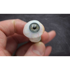 Prótesis Ocular Artificial para Reemplazo Cosmético del Ojo y Rehabilitación Ocular Postoperatoria - Product Image 1