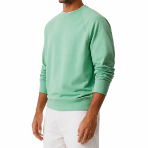 Sweat-shirt à capuche en molleton 100 % coton de haute qualité pour homme, essentiels du printemps, style streetwear, service OEM, faible MOQ - Product Image 6