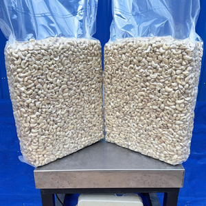 Oferta Especial 2025 W180 W320 Nueces de Anacardo Santigo, Anacardos Crudos de Vietnam, Venta al por Mayor, Listos para Enviar - Product Image 1