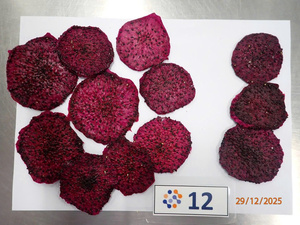 Fruta Seca Natural Dulce/Fruta Tropical Deshidratada en Empaque Individual o a Granel de Vietnam - Pey - Product Image 4