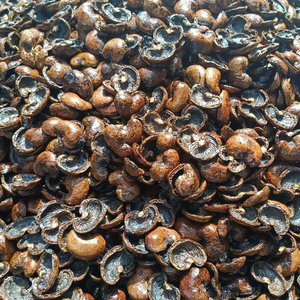 Coques de noix de cajou brutes en vrac avec une approvisionnement fiable, meilleur prix et export en gros - Product Image 5