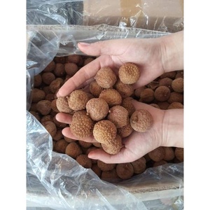 PRODUIT DE VENTE CHAUDE LYCHEE SÉCHÉ DE HAUTE QUALITÉ DE L'USINE DU VIET NAM - Product Image 5